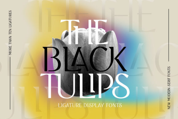 Black Tulip: A Serif Font That Makes Your Brand Feel Thoughtful