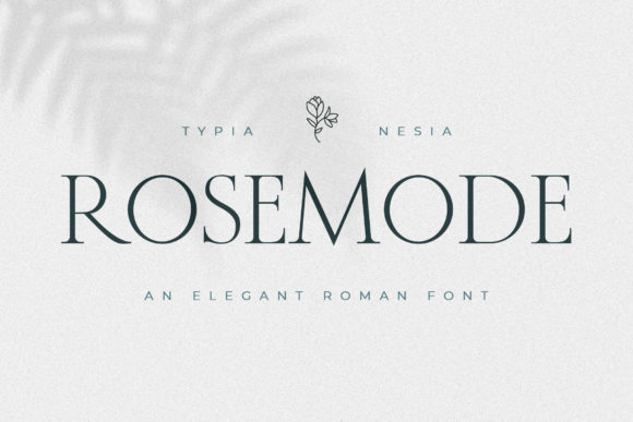 Rosemode: A Serif Font That Makes Your Brand Feel Thoughtful